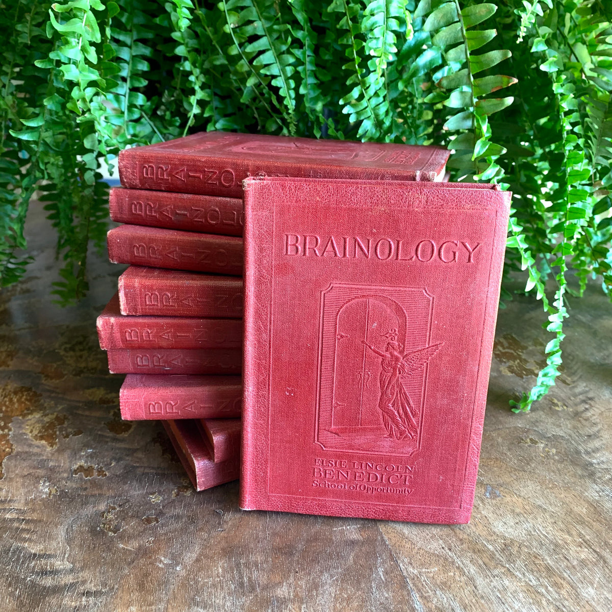 Cover of Brainology: Understanding, Developing and Training Your Brain by Elsie Lincoln Benedict, 1928