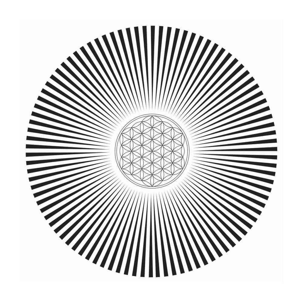 Featured image exploring frequency, vibration, and the human energy field