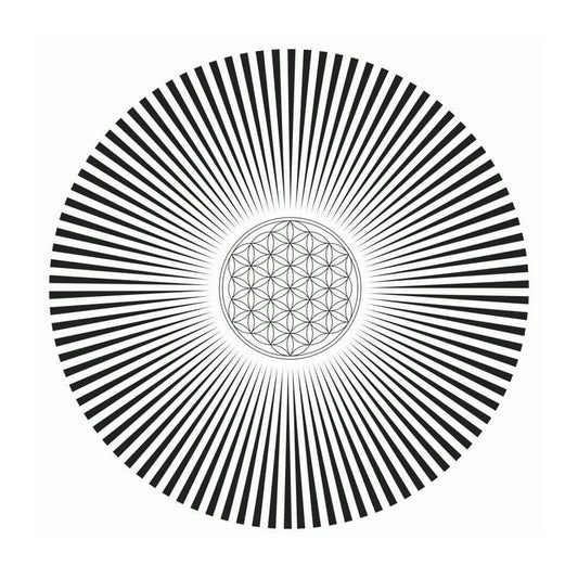 Featured image exploring frequency, vibration, and the human energy field