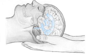 Featured image for Craniosacral Therapy and whole-body healing