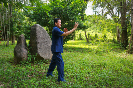 Mantak Chia practicing a Tai Chi pose at Tao Garden, 2022; photograph by Earthling plus, CC BY-SA 4.0
