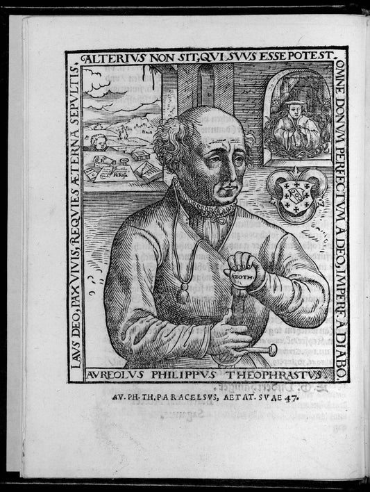 Paracelsus portrait from Philosophiae magnae Paracelsi, 1567