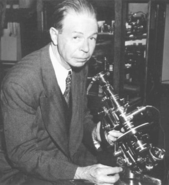 Royal Raymond Rife at his microscope — period photograph, public domain; courtesy Rife Systems