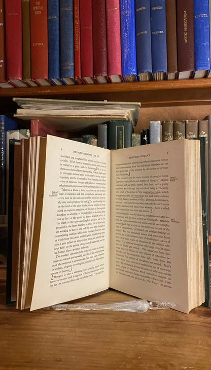 Interior and condition view of The More Abundant Life by William Marcus Taylor, 1924