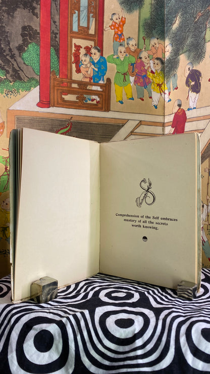 Additional condition view of The Mystic Self by Mesha Rayon, 1900
