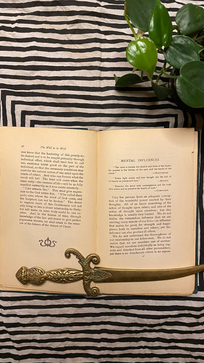Additional condition view of The Will to Be Well by Charles Brodie Patterson, 1901