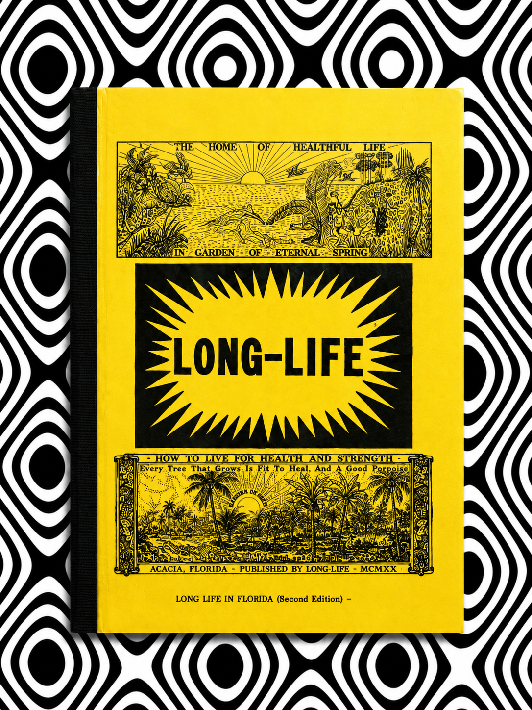 Cover of Long Life by Hilton Hotema
