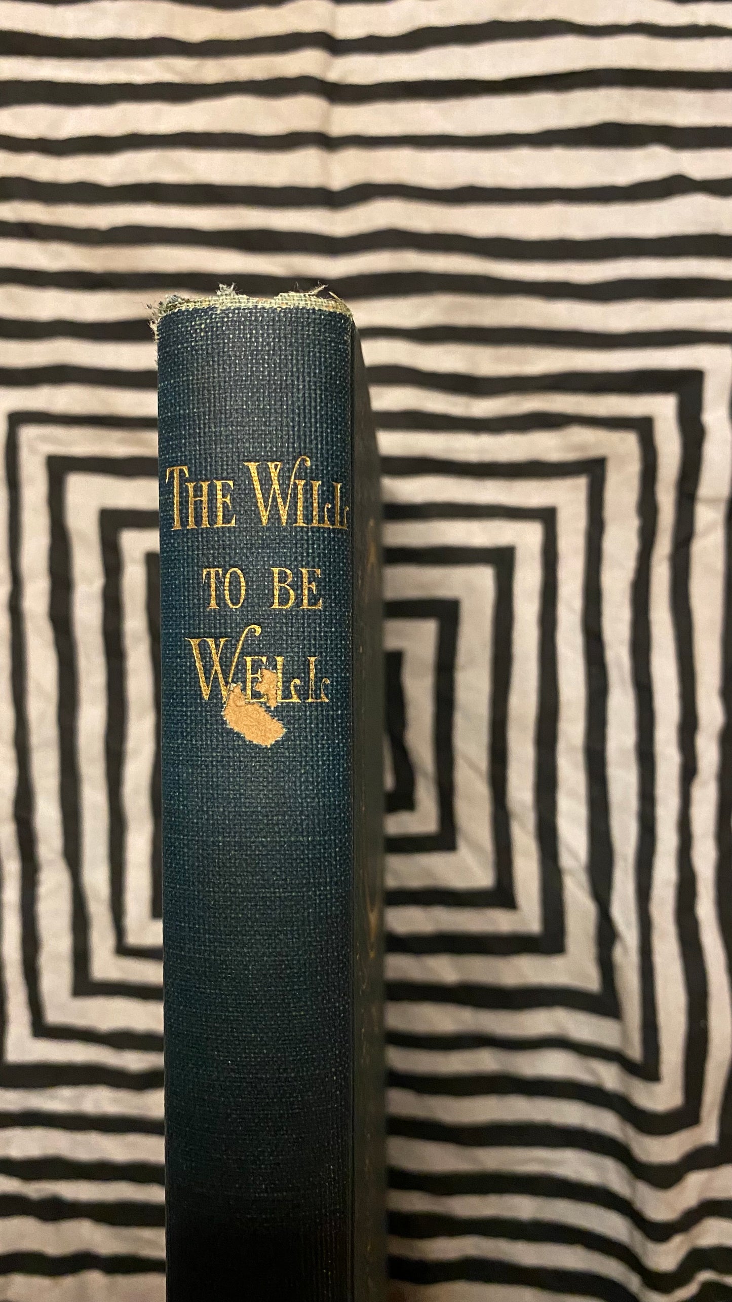 The Will to Be Well — Charlies Brodie Patterson — 1901