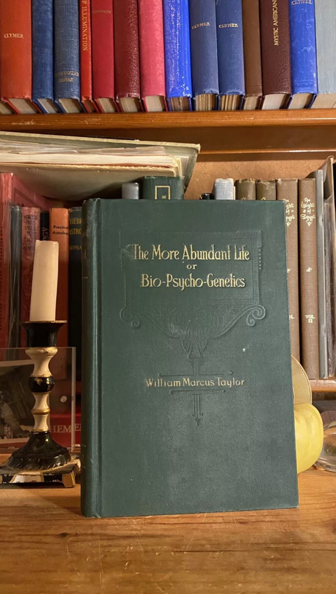 The More Abundant Life or Bio-Psycho-Genetics — William Marcus Taylor — 1924