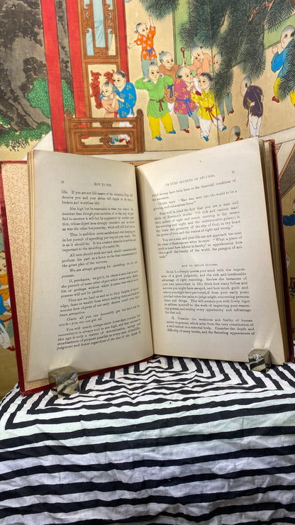 Interior and condition view of How To Win, or Sure Secrets of Success by L. H. Anderson, 1898