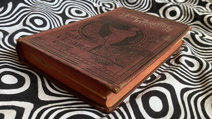 How to Hypnotize — L.H. Anderson — 1896