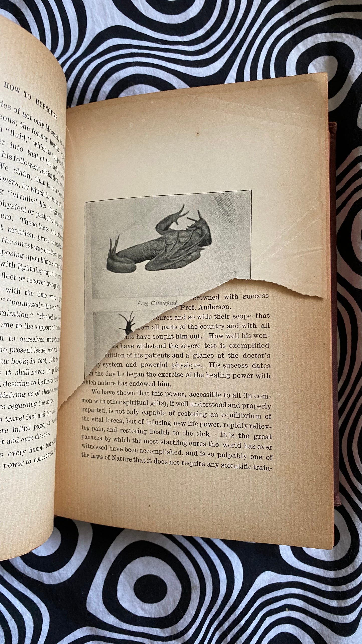 How to Hypnotize — L.H. Anderson — 1898