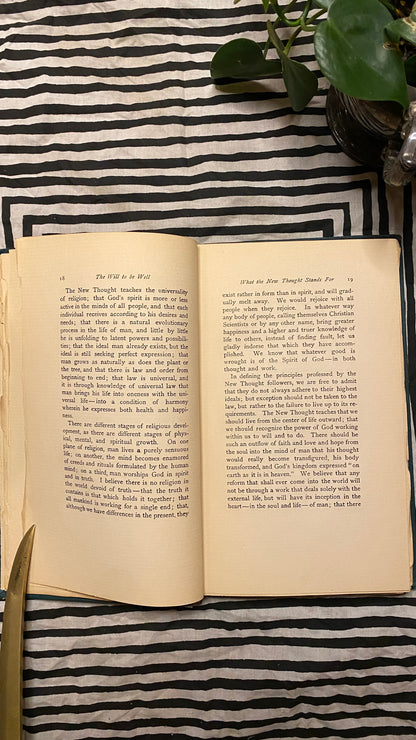 Additional condition view of The Will to Be Well by Charles Brodie Patterson, 1901