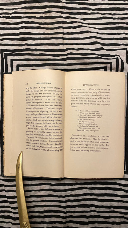 Additional condition view of The Measure of a Man by Charles Brodie Patterson, 1907