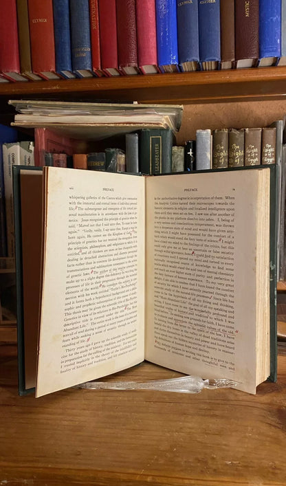 Interior and condition view of The More Abundant Life by William Marcus Taylor, 1924