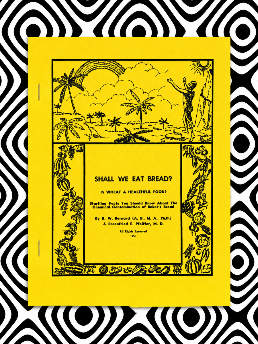 Cover of Shall We Eat Bread? by Raymond Bernard