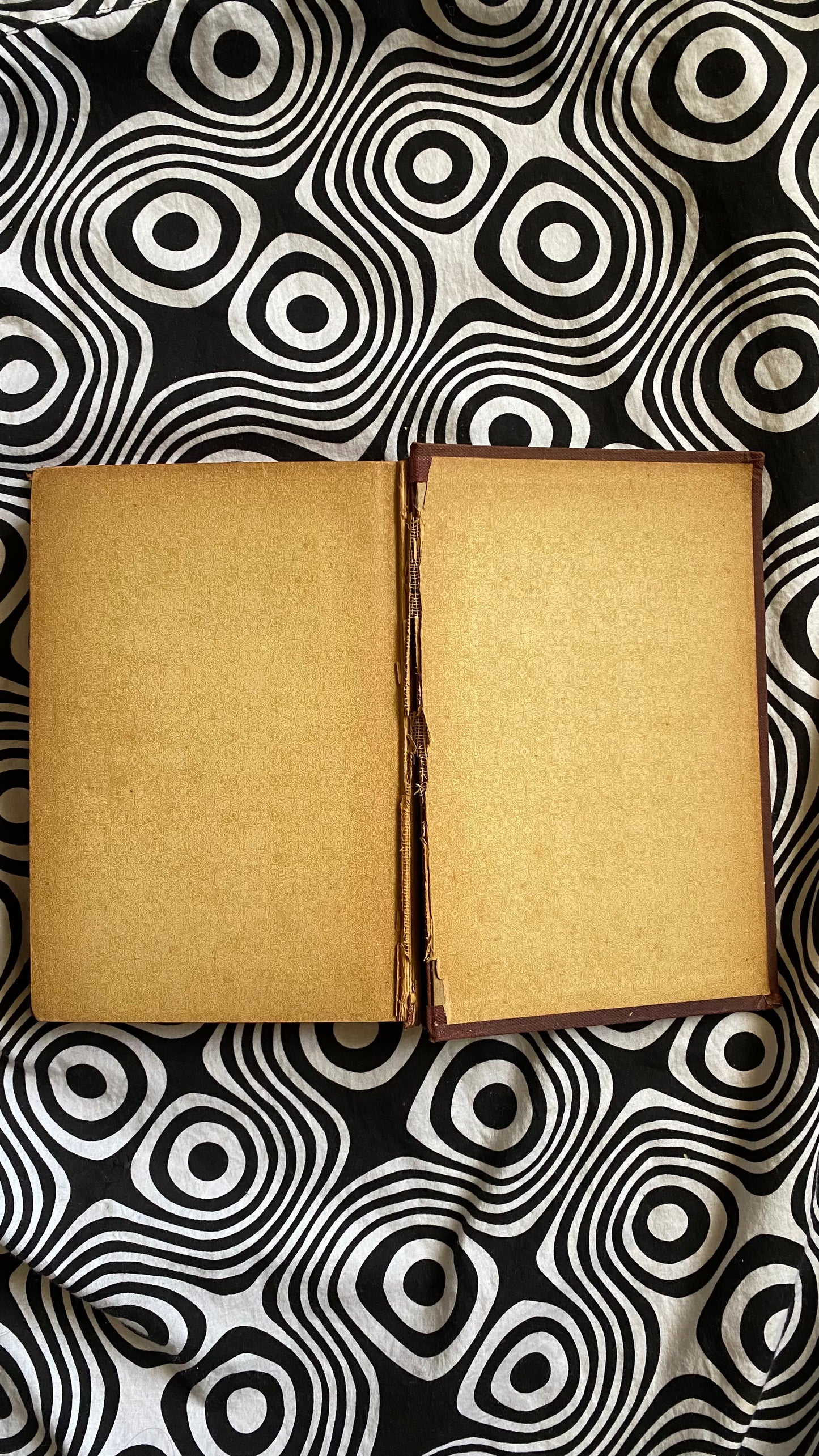 How to Hypnotize — L.H. Anderson — 1898