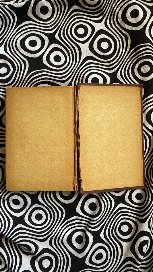 How to Hypnotize — L.H. Anderson — 1898