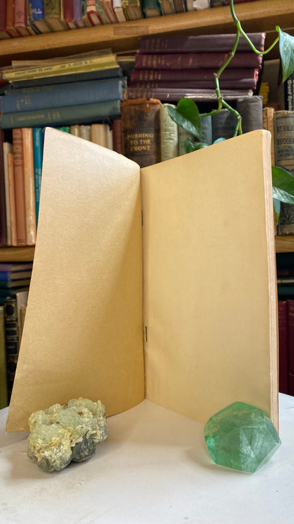 Additional condition view of Results Through Self-Analysis by Marie Winchell Walker, 1923