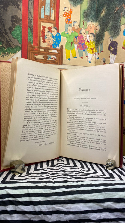 Interior and condition view of How To Win, or Sure Secrets of Success by L. H. Anderson, 1898