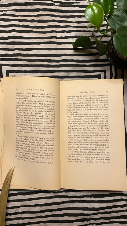 Additional condition view of The Will to Be Well by Charles Brodie Patterson, 1901