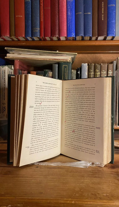 Interior and condition view of The More Abundant Life by William Marcus Taylor, 1924