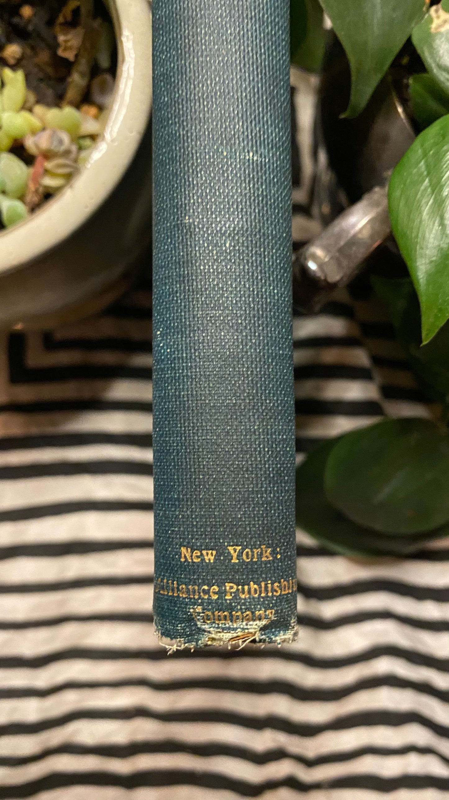 The Will to Be Well — Charlies Brodie Patterson — 1901