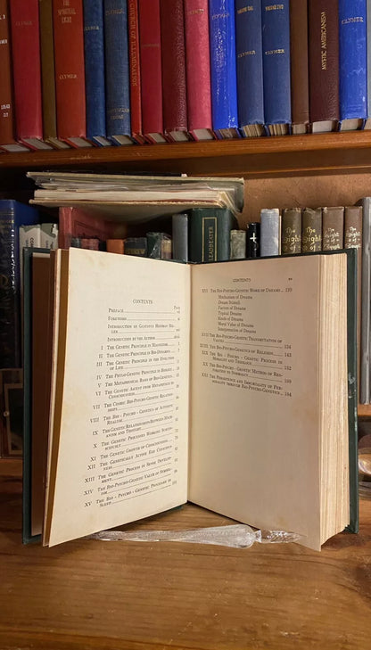 Interior and condition view of The More Abundant Life by William Marcus Taylor, 1924