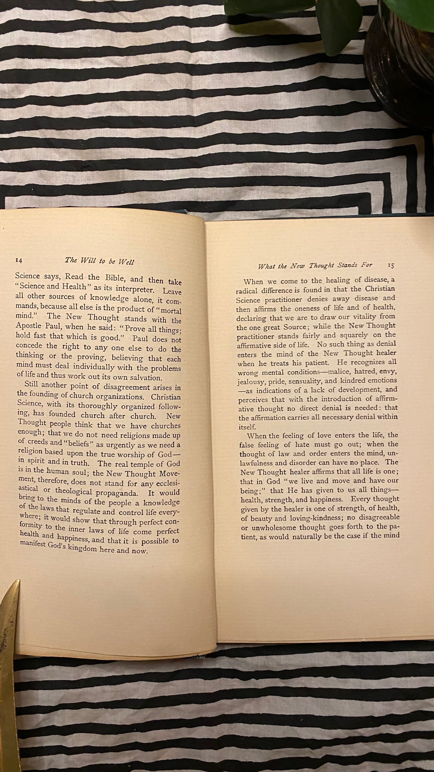 The Will to Be Well — Charlies Brodie Patterson — 1901