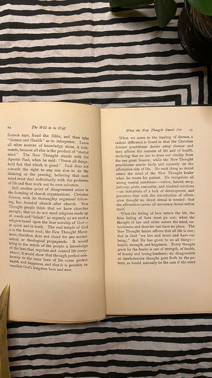 Additional condition view of The Will to Be Well by Charles Brodie Patterson, 1901