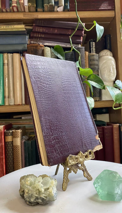 Additional condition view of The Mind Magnet by Paul Ellsworth, 1924