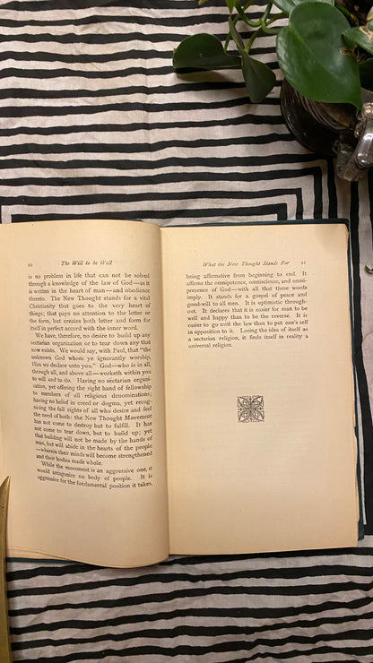 Additional condition view of The Will to Be Well by Charles Brodie Patterson, 1901