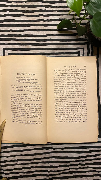 Additional condition view of The Will to Be Well by Charles Brodie Patterson, 1901