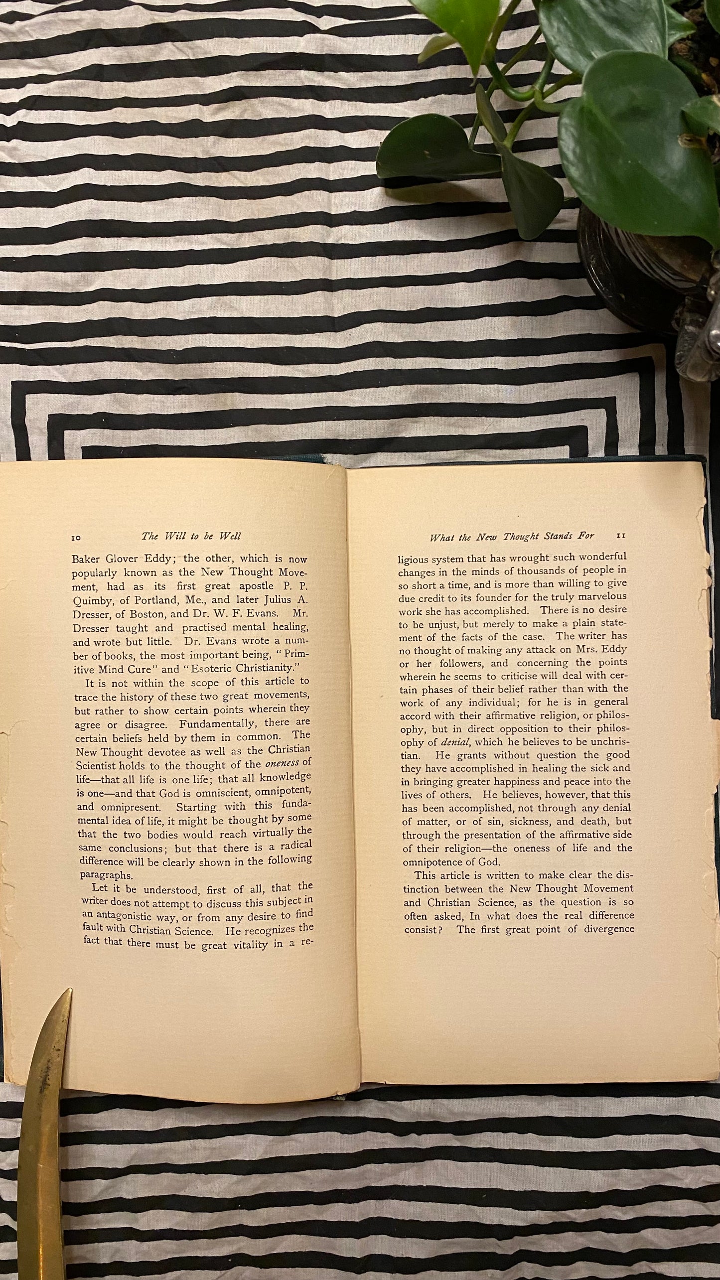 The Will to Be Well — Charlies Brodie Patterson — 1901