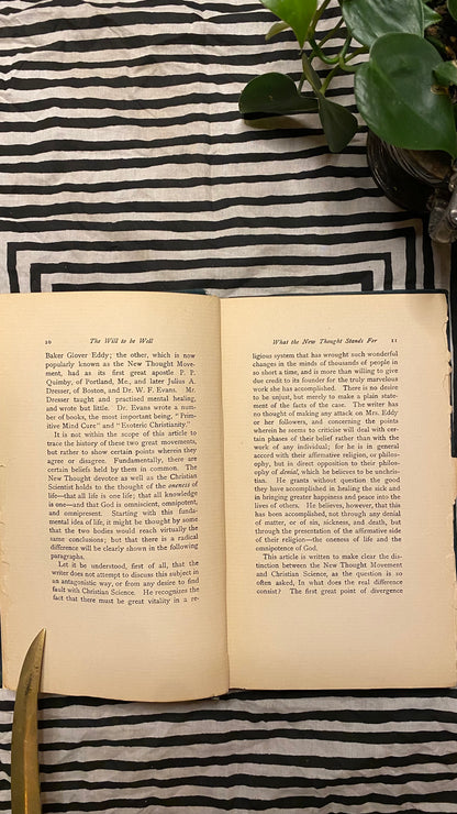Additional condition view of The Will to Be Well by Charles Brodie Patterson, 1901
