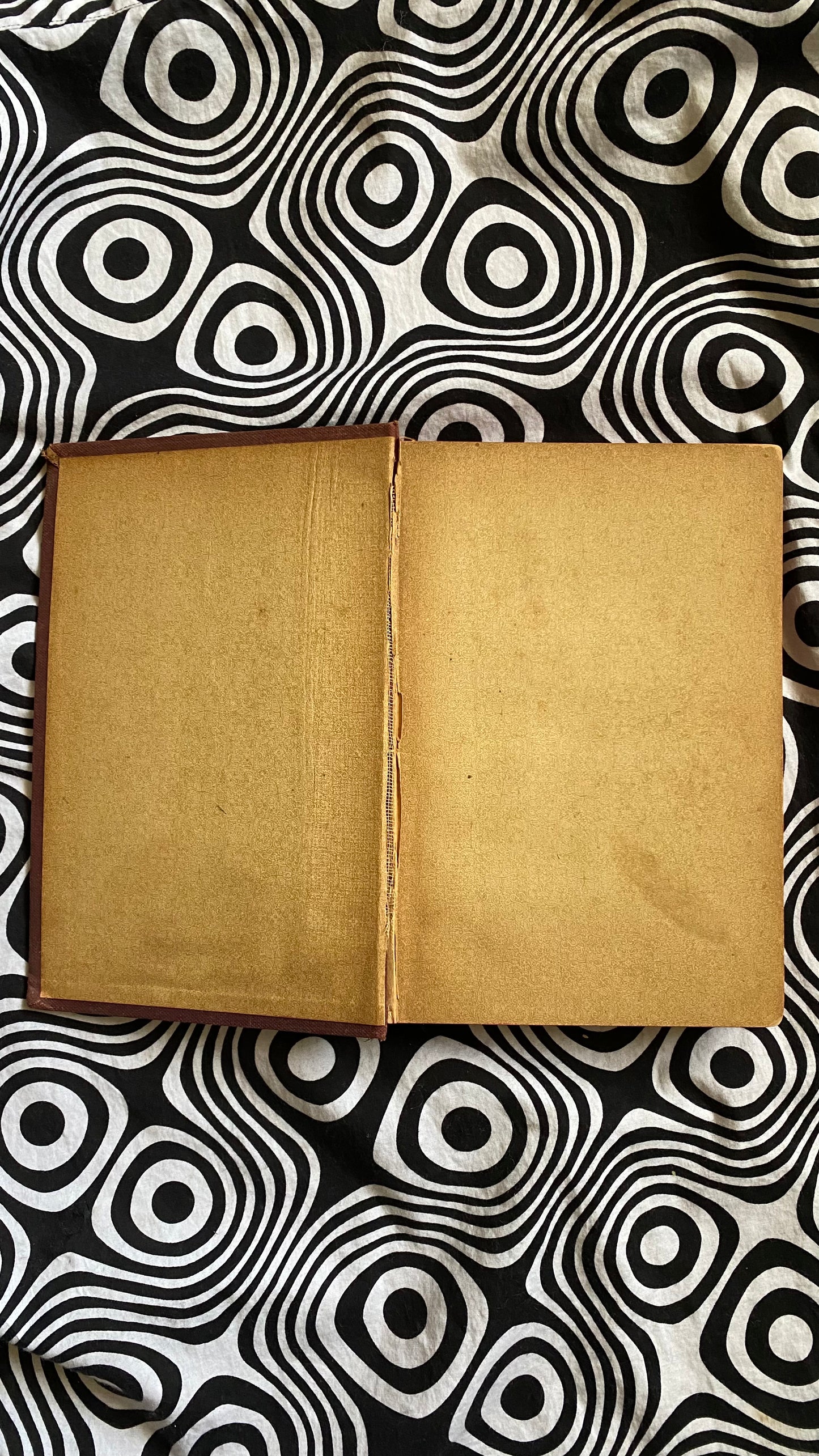 How to Hypnotize — L.H. Anderson — 1898
