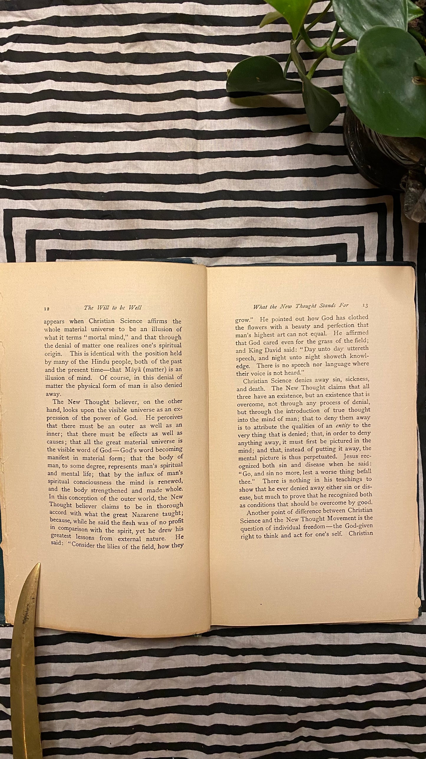 The Will to Be Well — Charlies Brodie Patterson — 1901