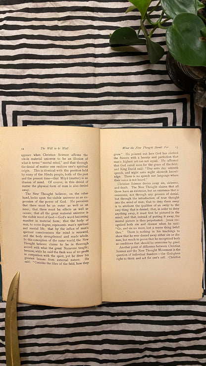 Additional condition view of The Will to Be Well by Charles Brodie Patterson, 1901