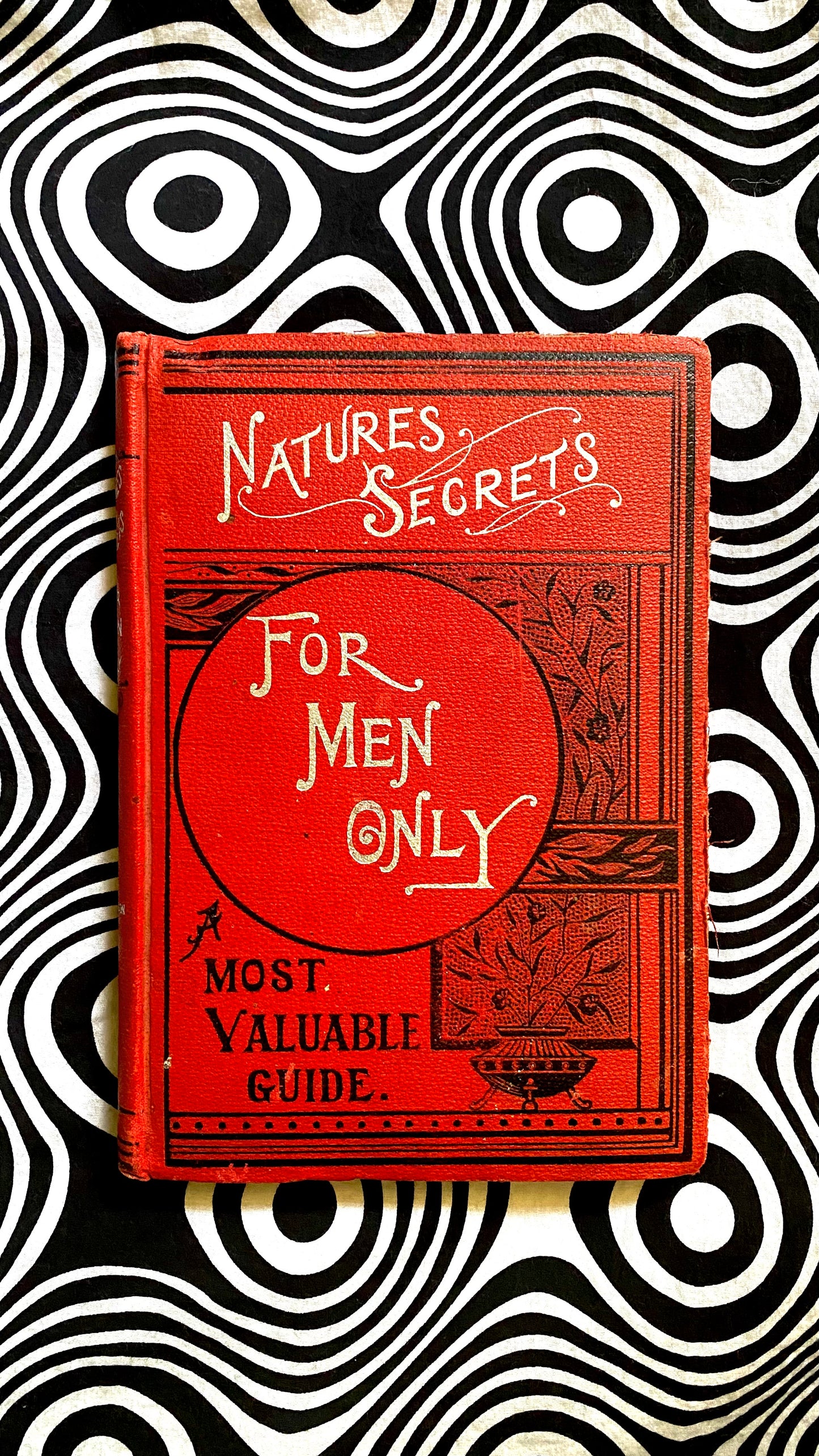 Nature's Secrets : For Men Only — L.H. Anderson — 1898