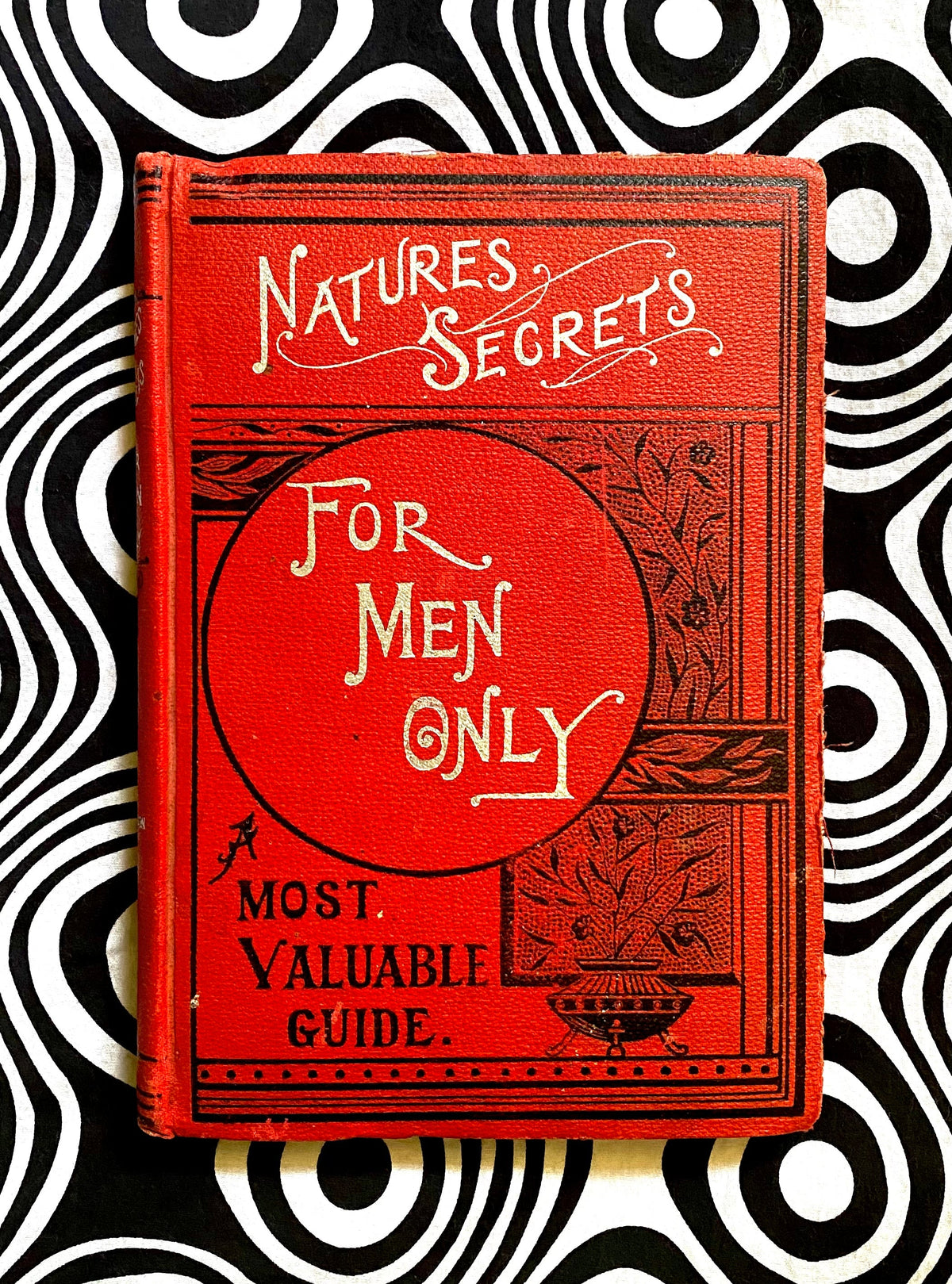 Nature's Secrets: For Men Only by L. H. Anderson, 1898