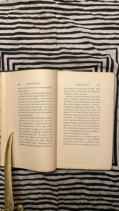 Additional condition view of The Measure of a Man by Charles Brodie Patterson, 1907
