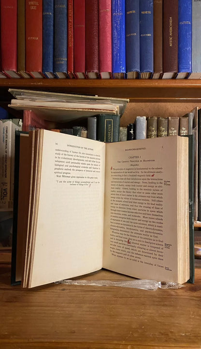 Interior and condition view of The More Abundant Life by William Marcus Taylor, 1924
