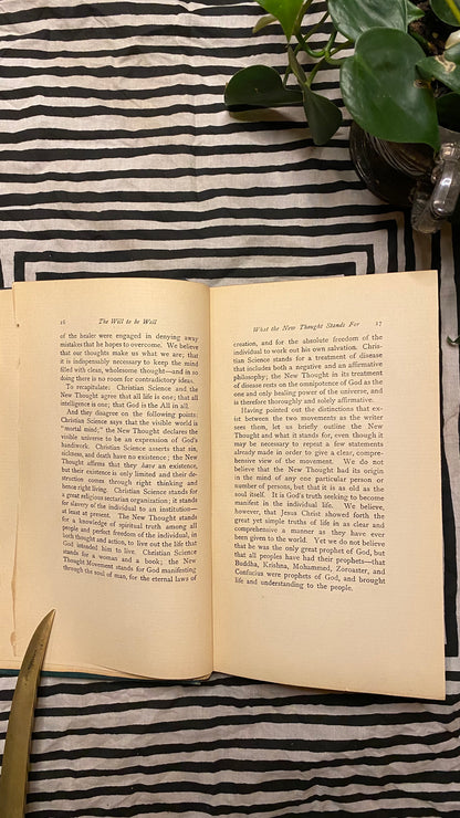 Additional condition view of The Will to Be Well by Charles Brodie Patterson, 1901