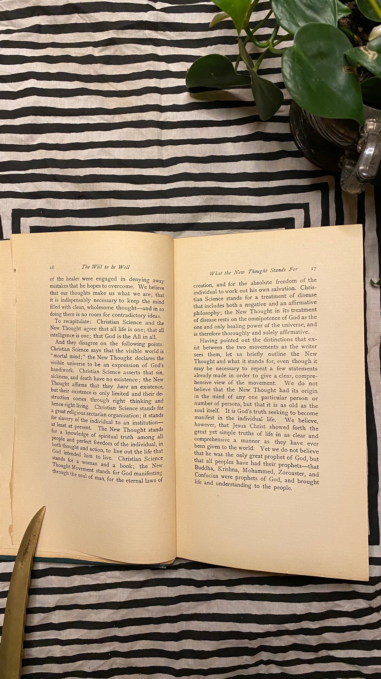 The Will to Be Well — Charlies Brodie Patterson — 1901