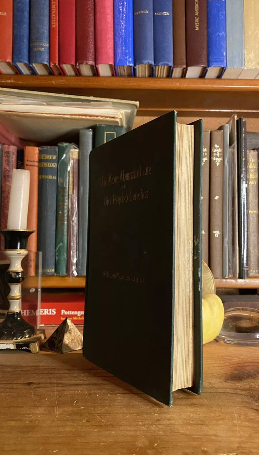 Interior and condition view of The More Abundant Life by William Marcus Taylor, 1924