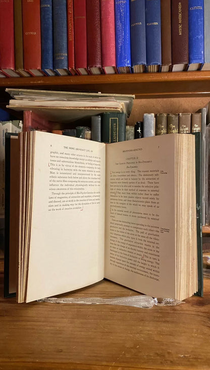 Interior and condition view of The More Abundant Life by William Marcus Taylor, 1924