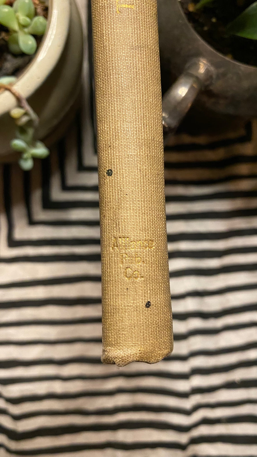 Additional condition view of The Library of Health, Volume 1 by Charles Brodie Patterson, 1899