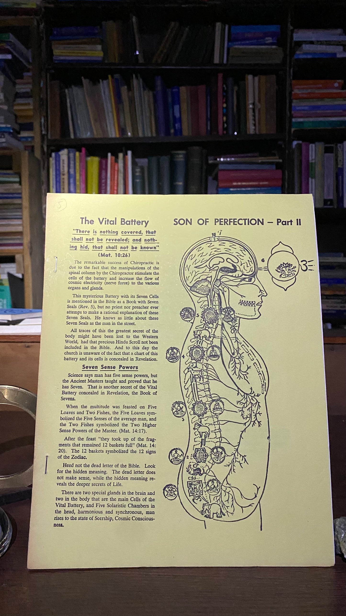 Son of Perfection Pt. 2 (II) -- Hilton Hotema -- 1956