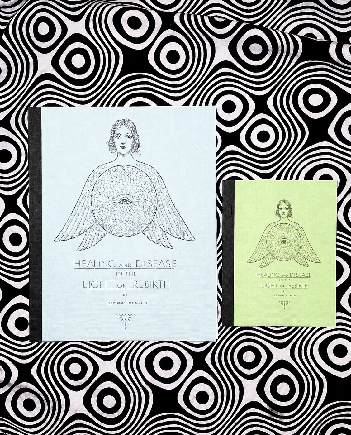 Additional product photograph of Healing and Disease in the Light of Rebirth by Corinne Dunklee