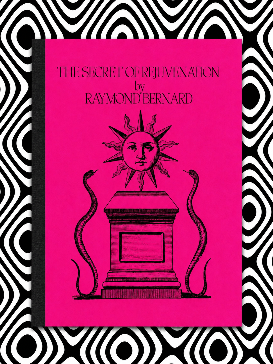 Cover of The Secret of Rejuvenation by Raymond Bernard